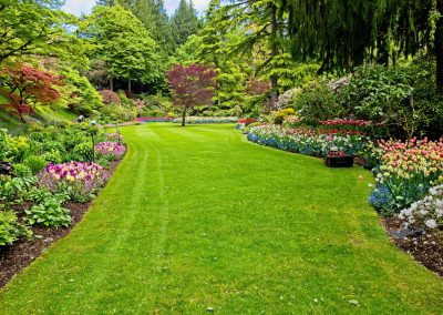 A lush garden with a green lawn, colorful flower beds, and trees under a bright sky.