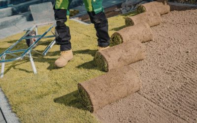 Sod Installation vs. Lawn Seeding: Which Option Is Right for Your Yard?