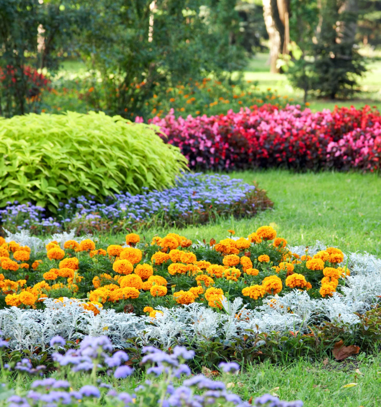 Colorful flower beds with orange, purple, red, and green plants in a landscaped garden on a sunny day.