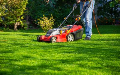 How Often Should You Schedule Professional Lawn Maintenance in Maryland?