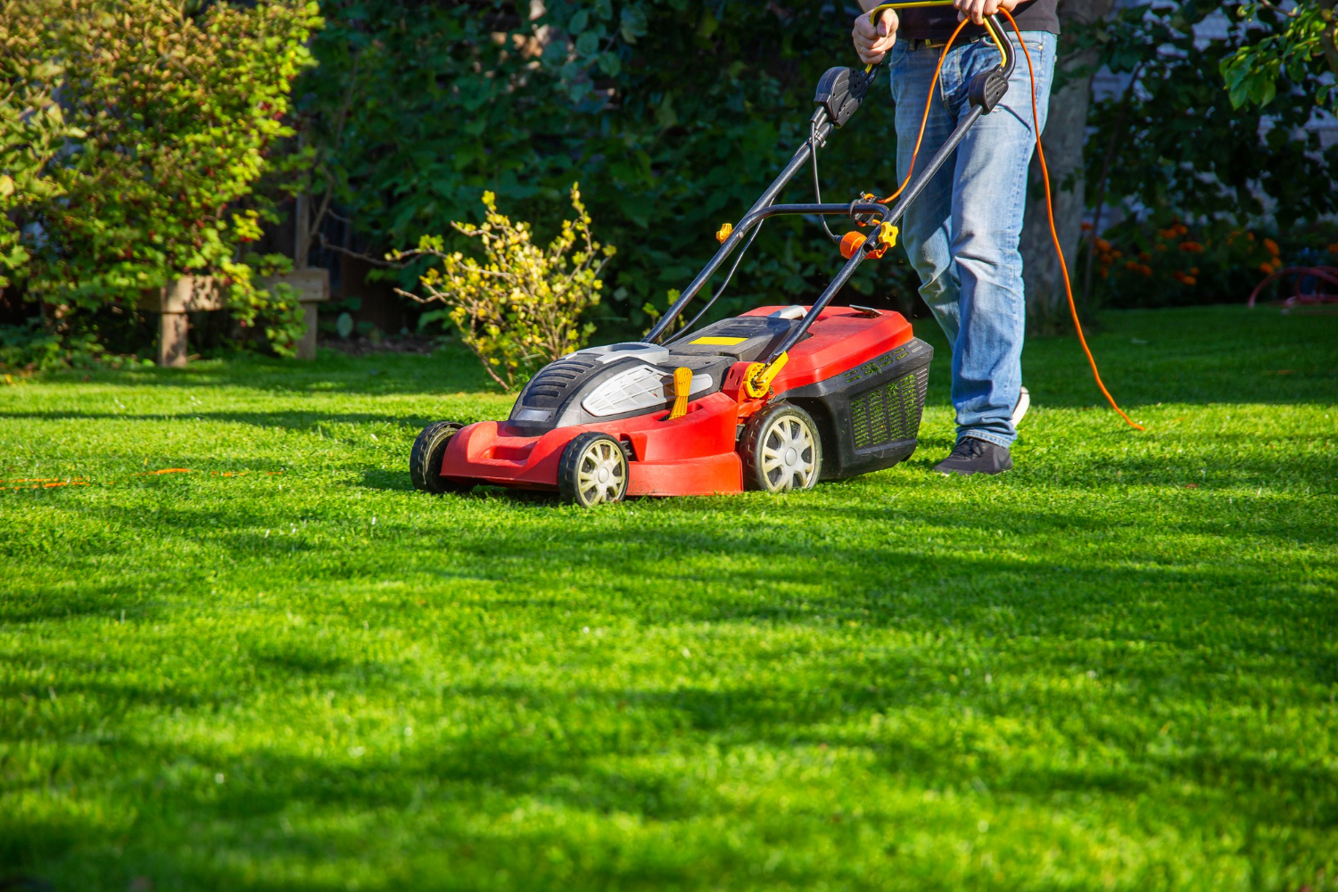 900 Person mowing a green lawn with a red electric lawn mower on a sunny day.