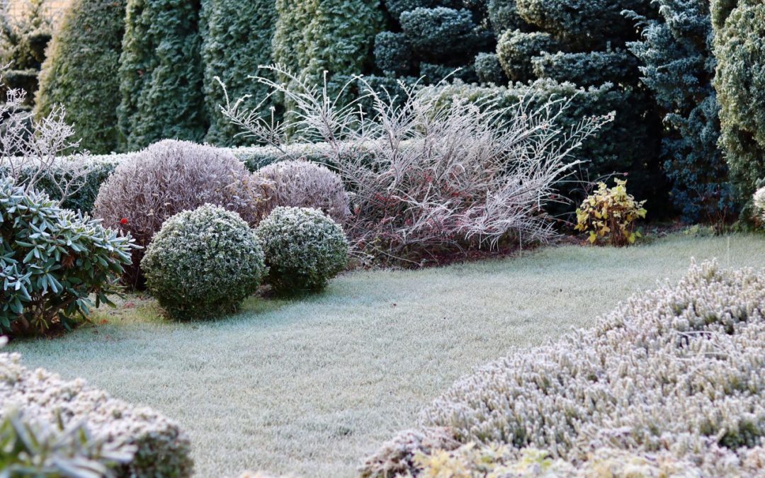 How to Prepare Your Yard for a Maryland Winter: A Seasonal Landscaping Checklist