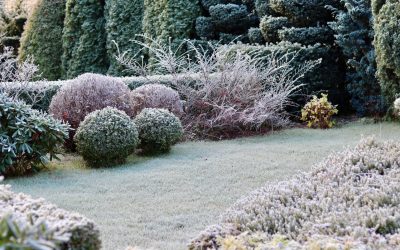 How to Prepare Your Yard for a Maryland Winter: A Seasonal Landscaping Checklist